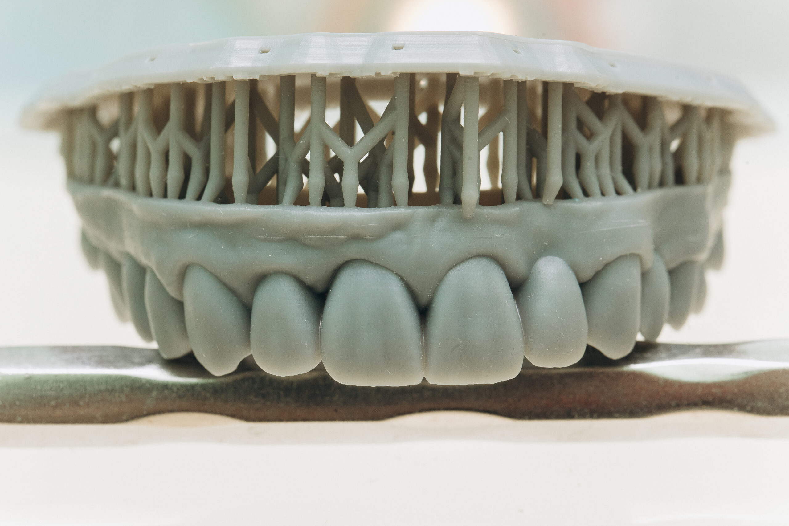 Zirconium Porcelain Tooth plate in Dentist Store. Dental health care